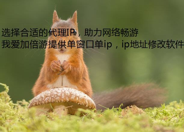 ѡʵĴIP糩βȿ