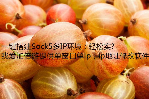 һSock5IPʵָЧ