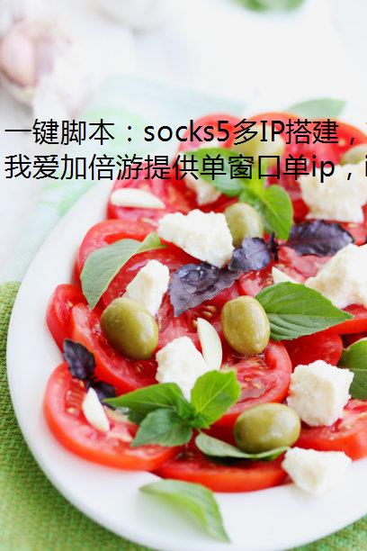һűsocks5IPα