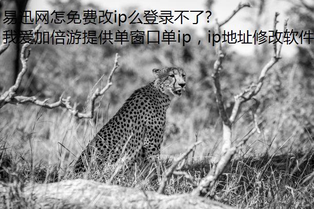 ѸѸipô¼?