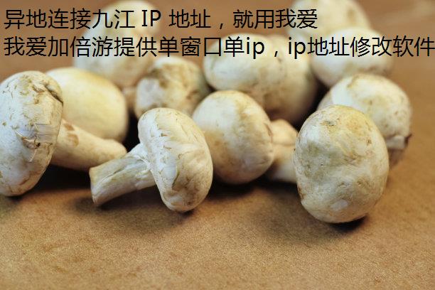 ӾŽ IP ַҰӱ