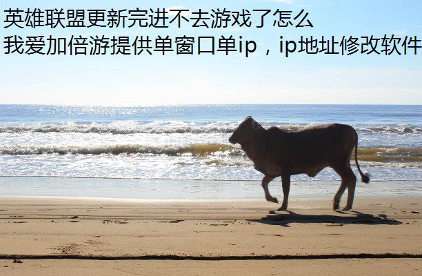 Ӣ˸ȥϷô죿