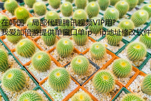 ںֲѶƵVIPûοӾӰ٣