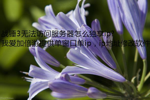 ս3޷ʷôip?