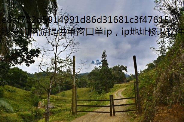 ˹2ëȡ׵ģ޸IP