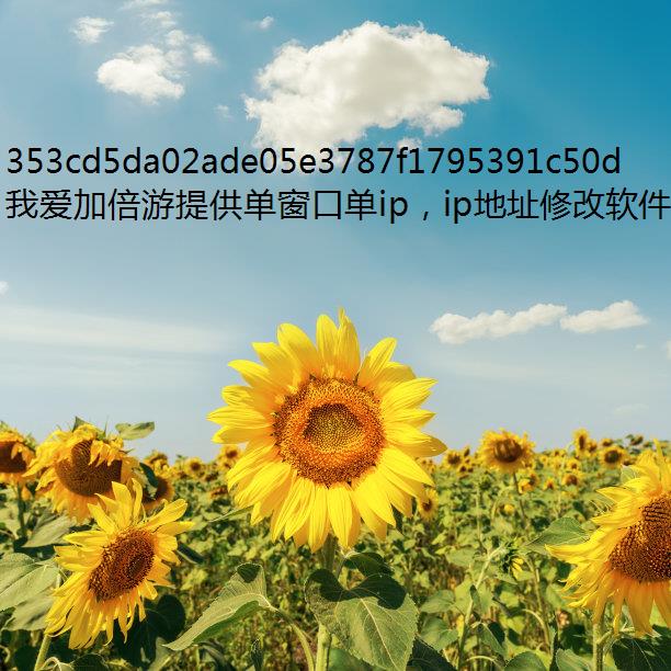 ԪսͶ࿪⼰սѡƼ Ʒȡȫ ipܴ