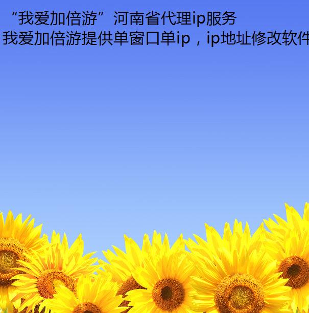 “我爱加倍游”河南省代理ip服务全解析:动态/静态ip应用与单窗口单ip技术实现 “我爱加倍游”河南省代理ip服务全解析:动态/静态ip应用与单窗口单ip技术实现