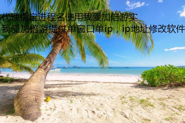 代理指定进程名使用我爱加倍游实现陕西省IP地址的高效切换与管理 代理指定进程名使用我爱加倍游实现陕西省IP地址的高效切换与管理