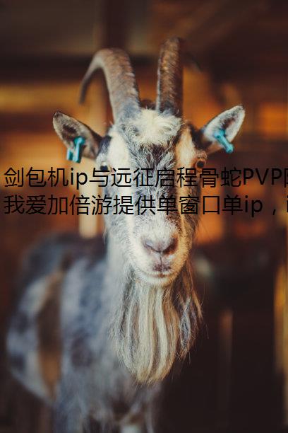 剑包机ip与远征启程骨蛇PVP阵容攻略推荐 剑包机ip与远征启程骨蛇PVP阵容攻略推荐