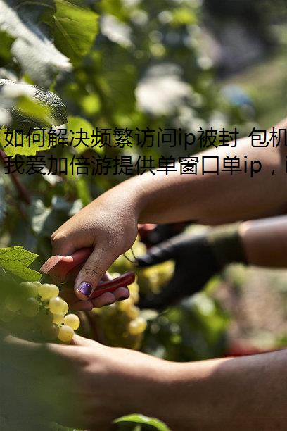 如何解决频繁访问ip被封 包机ipIP被限制问题 如何解决频繁访问ip被封 包机ipIP被限制问题