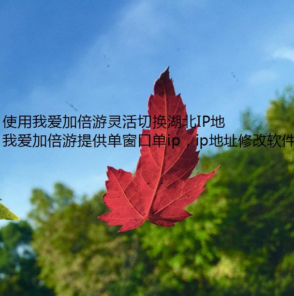 使用我爱加倍游灵活切换湖北IP地址的实用指南IP修改器 使用我爱加倍游灵活切换湖北IP地址的实用指南IP修改器